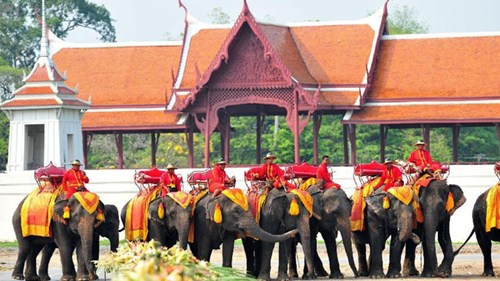 Đến Thái Lan nhất định các bạn phải thử cưỡi voi một lần.